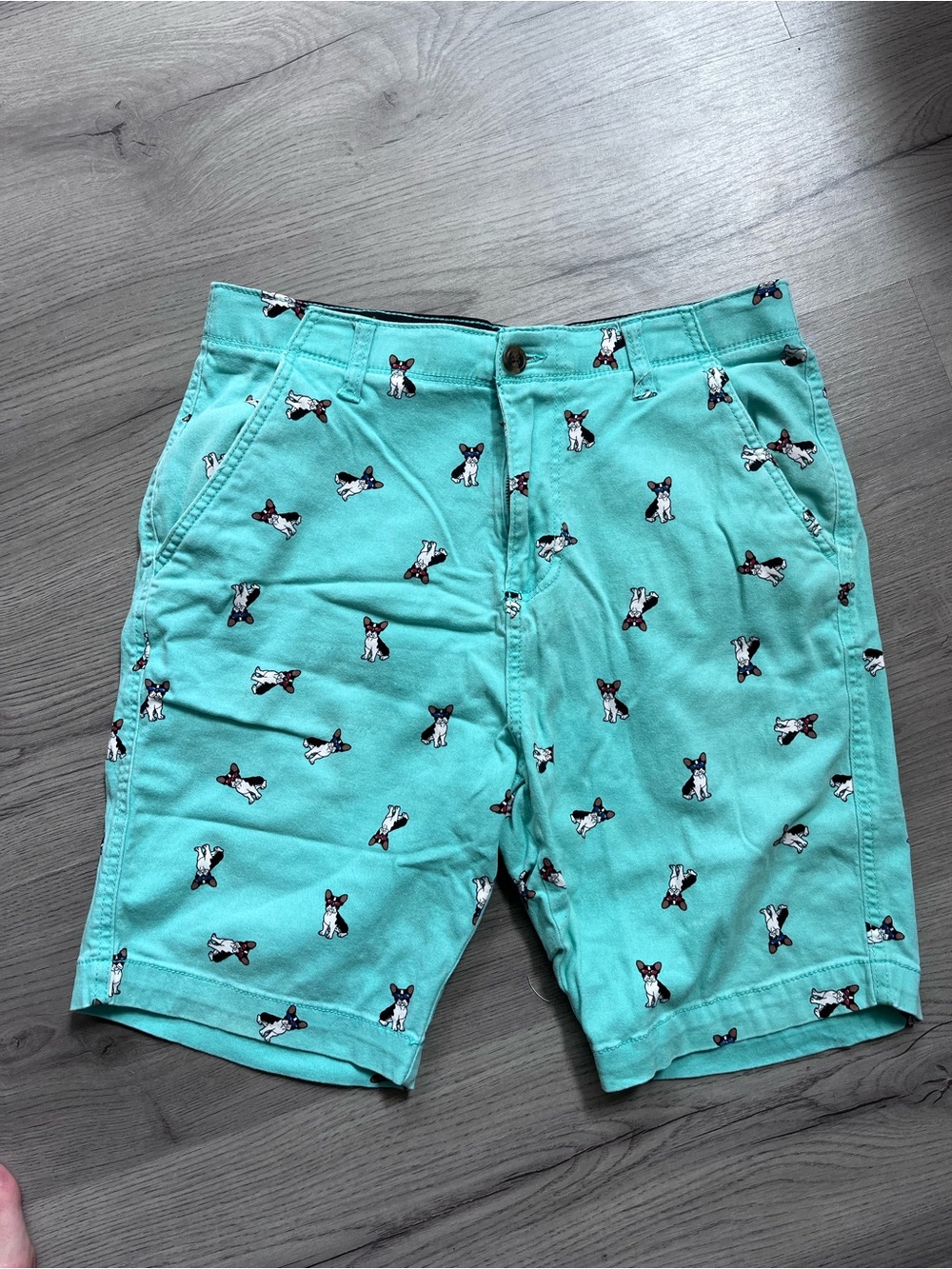 Mint green dog print shorts